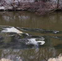 MŽP monitoruje situaci kolem aktuálního úniku kejdy do Dyje